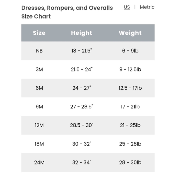 NWT Carter's Roar 2 Onesies, Pair of Pants 3pc Set - size 9M - Picture 6 of 6